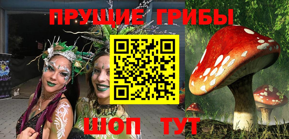 магазин продажи   Псилоцибиновые грибы Magic Shrooms  Галлюциногенные грибы Magic Shrooms  Вход с VPN  Мелеуз 